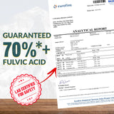 Pure Himalayan Shilajit (10g)