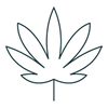 CERTIFIED ORGANIC HEMP