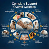 Diagram of 'Complete Support Overall Wellness' with various health conditions and corresponding support services.
