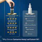 Comparison of Cannarma Hemp Leaf Extract Oil with Standard Hemp Oil on a blue background