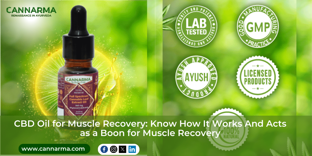 CBD and muscle recovery
